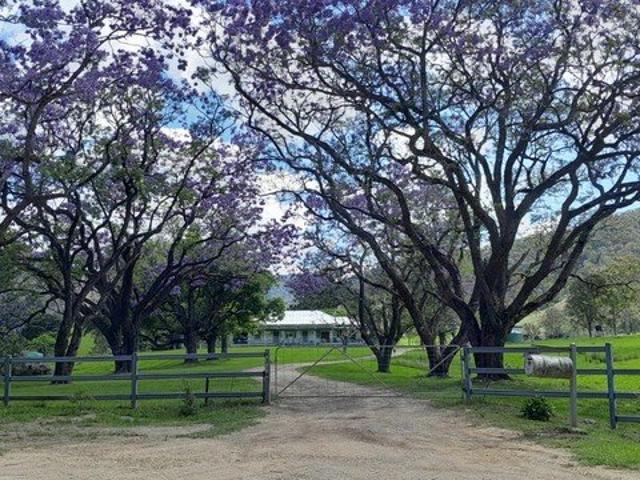 Cottage for sale in Lower Creek, New South Wales