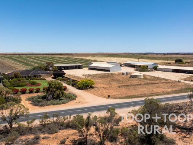 Cottage for sale in Nildottie, South Australia