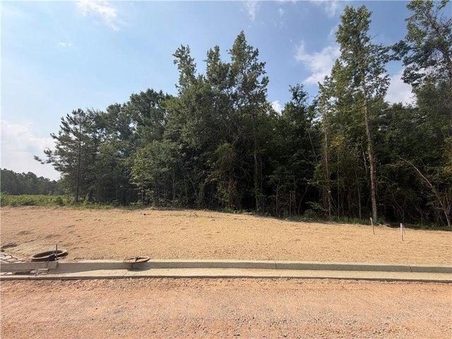 Land for sale in Smiths Station, Lee County