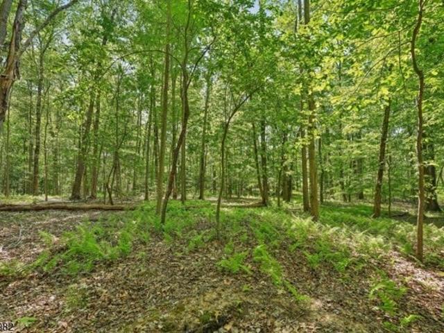 Land for sale in Gillette, New Jersey