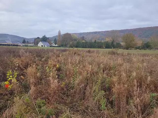Terrain vente à Bernay, Hondouville