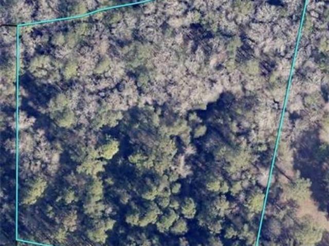 Land for sale in Brooklet, Georgia