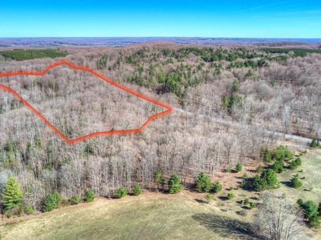 Land for sale in Bellaire, Michigan