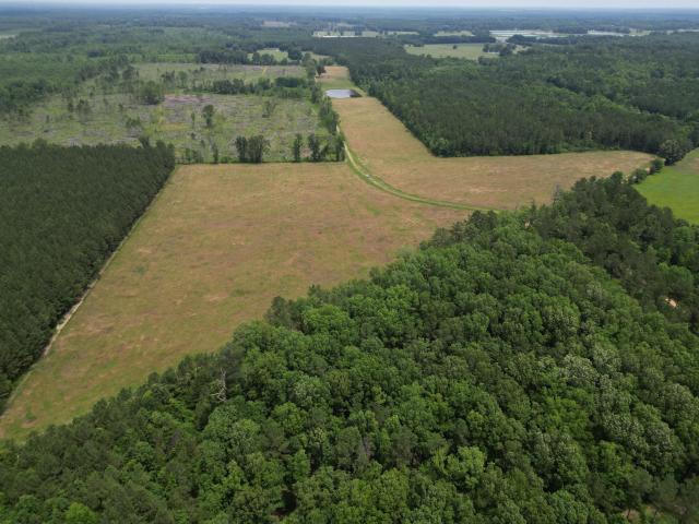 Land for sale in Macon, Mississippi