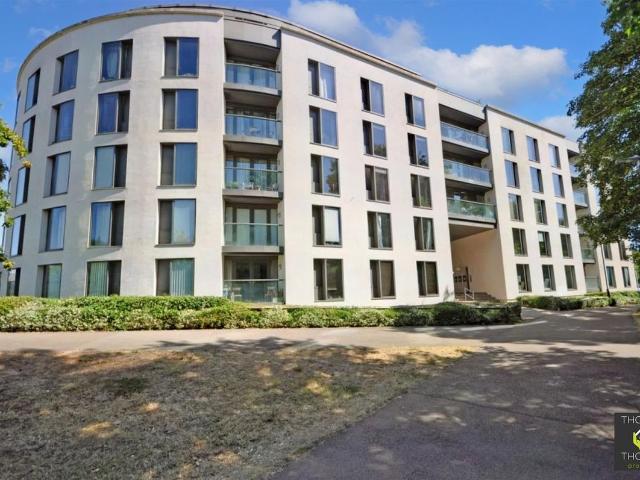 Apartment for rent in Montpellier, Golden Valley