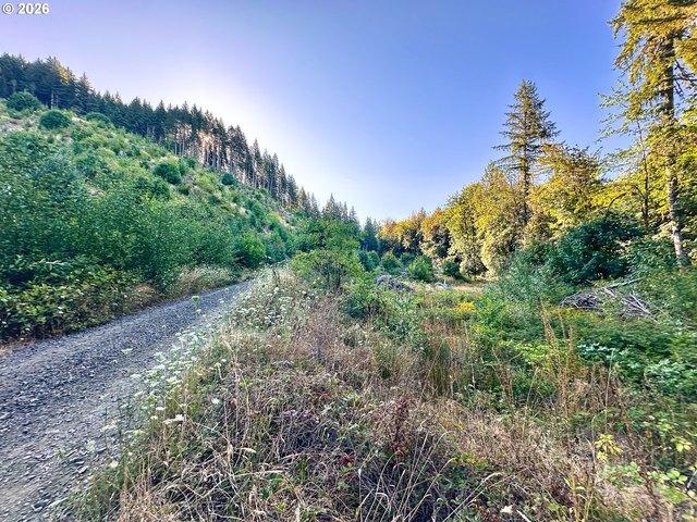 Land for sale in Oregonia