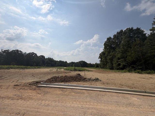 Land for sale in Smiths Station, Lee County