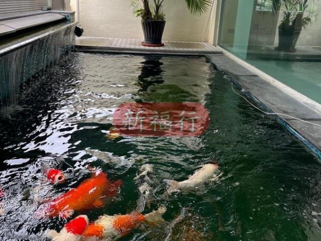 提供 出租 的 公寓