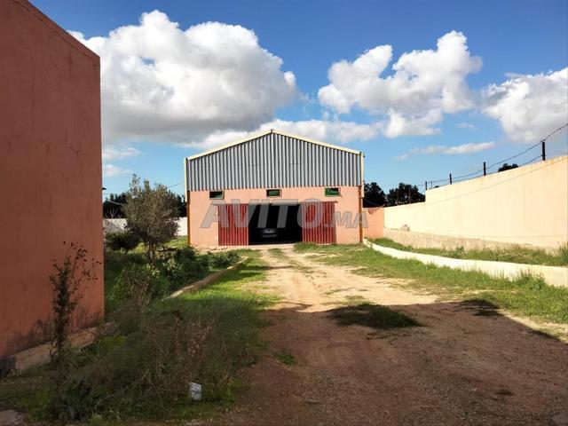 Local commercial location à Saf, L'Oriental