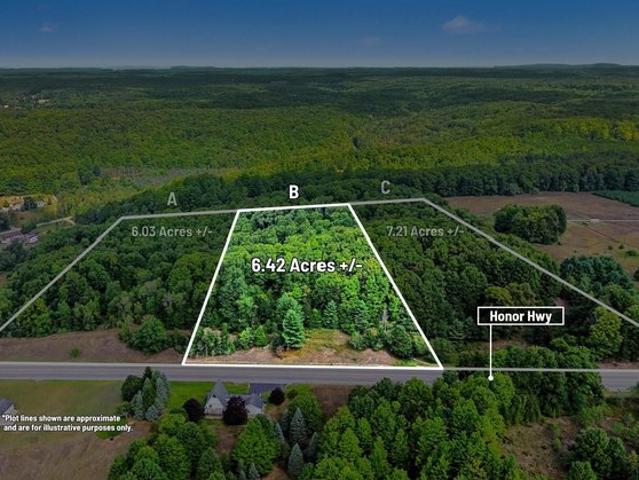 Land for sale in Honor, Michigan