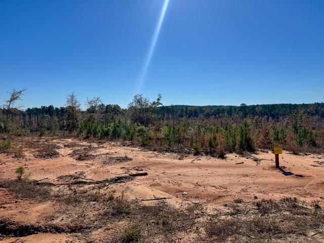 Land for sale in Eupora, Mississippi