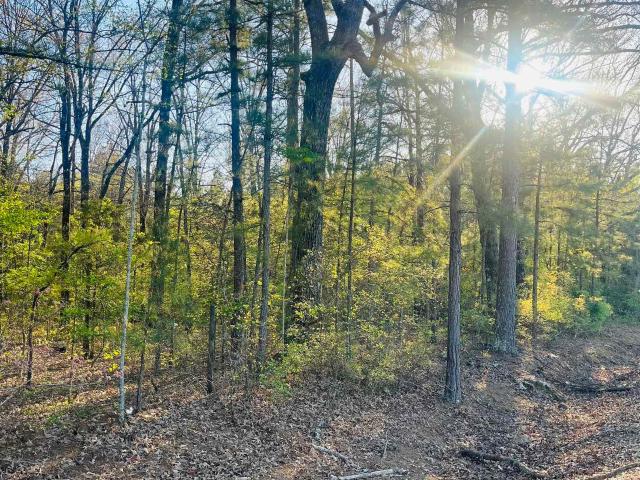 Land for sale in Ark