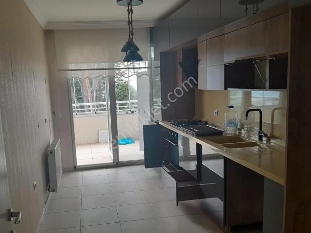 Hopa, Artvin içerisinde kiralık mülk