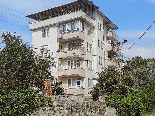 Hopa, Artvin içerisinde kiralık mülk