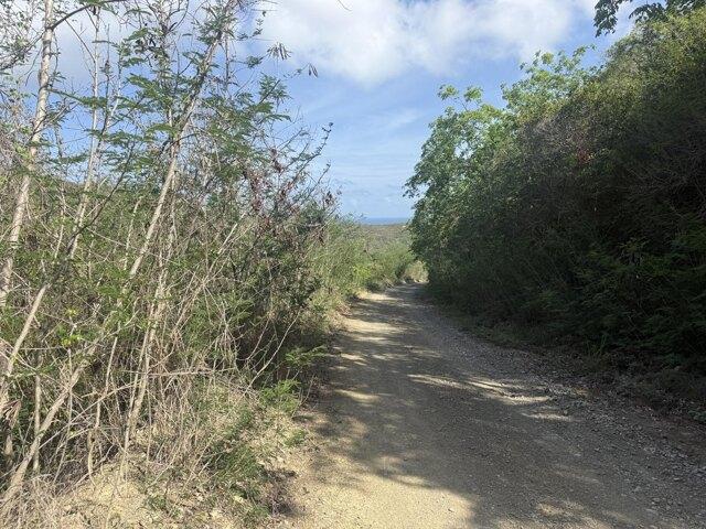 Land for sale in Saint Croix