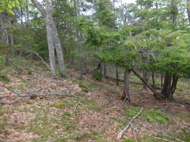 Land for sale in Hope, Maine