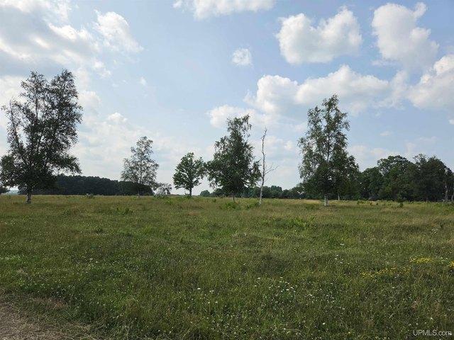 Land for sale in Crystal Falls, Michigan