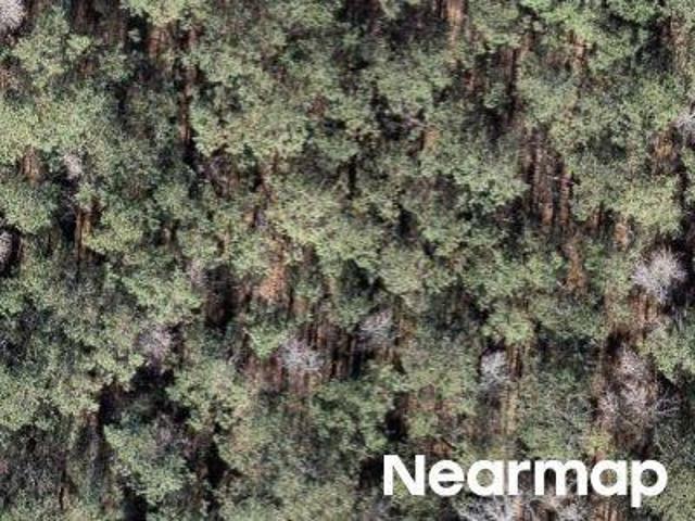 Property for sale in Macon, Georgia