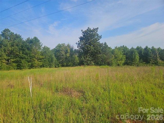 Land for sale in Rutherford, North Carolina