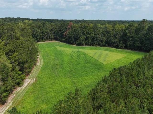 Land for sale in Hampton, South Carolina