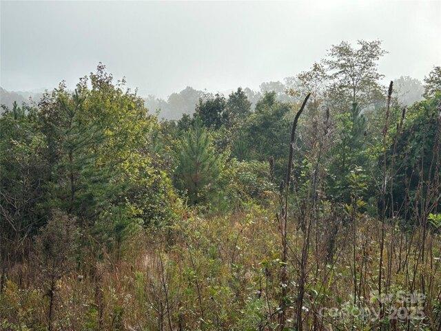 Land for sale in Morganton, North Carolina