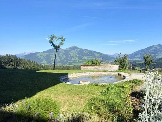 Apartment mieten in Hopfgarten i.Br., Tirol