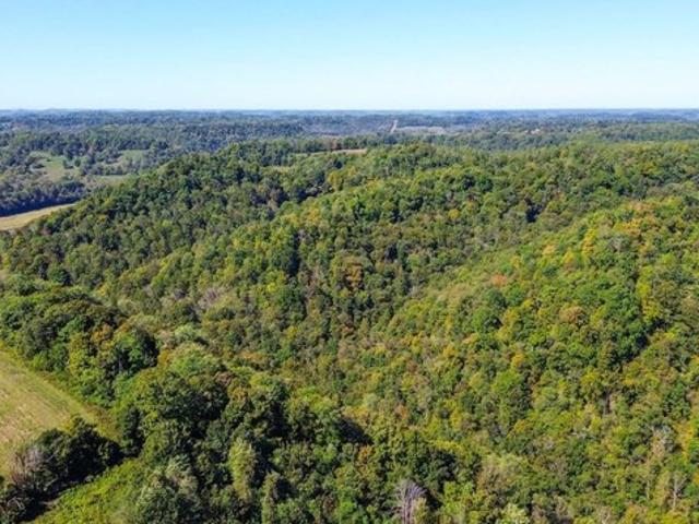 Land for sale in Gainesboro, Middle Tennessee