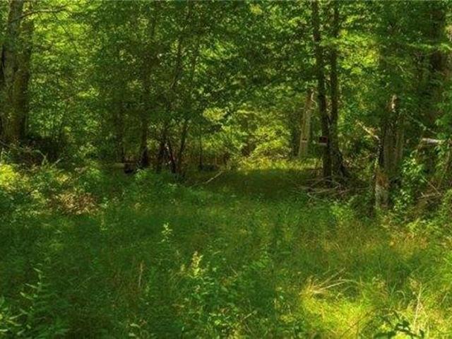 Land for sale in Bradford, Rhode Island