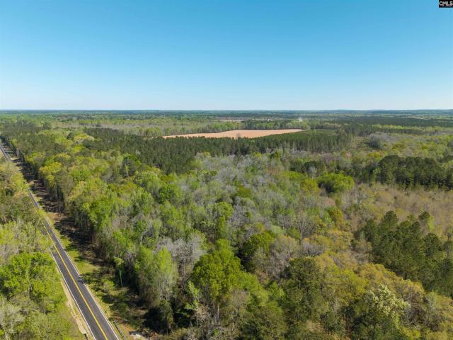 Land for sale in Rembert, South Carolina