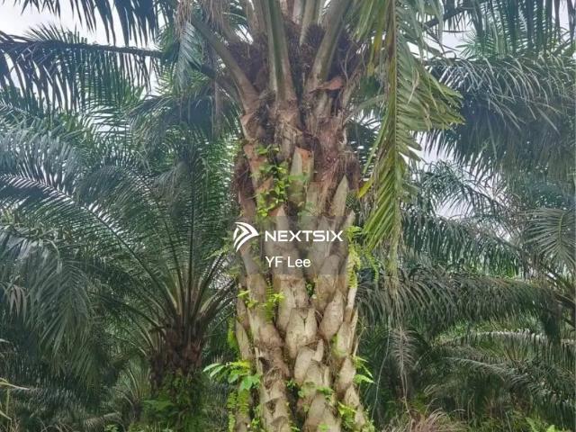 Residential House for sale in Johor
