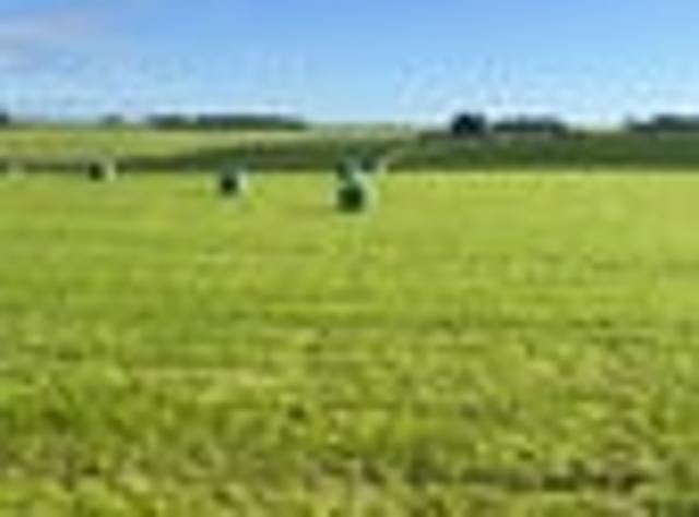Land for sale in Pine Bush, Southland