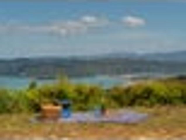 Land for sale in Waikato