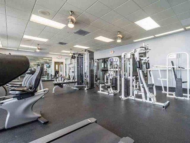 Apartment for rent in Florida