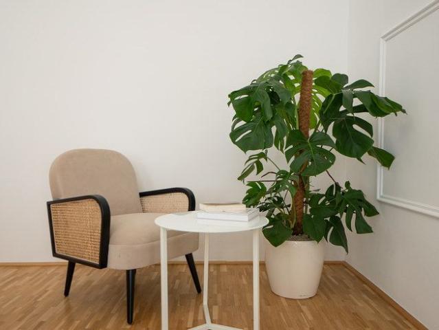 Apartment mieten in Innere Stadt, Wien