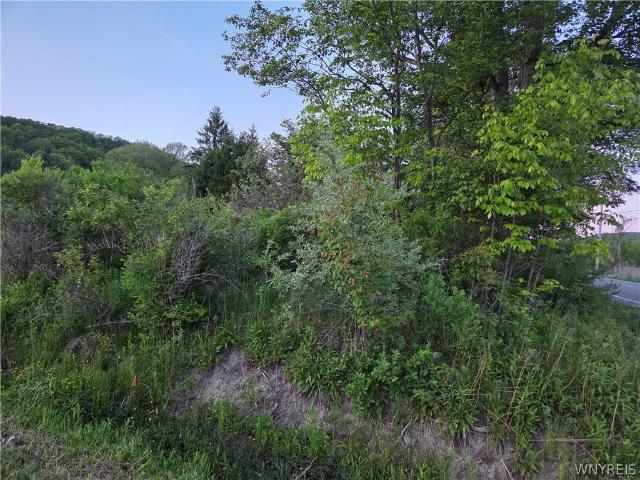Land for sale in Ellicottville, New York