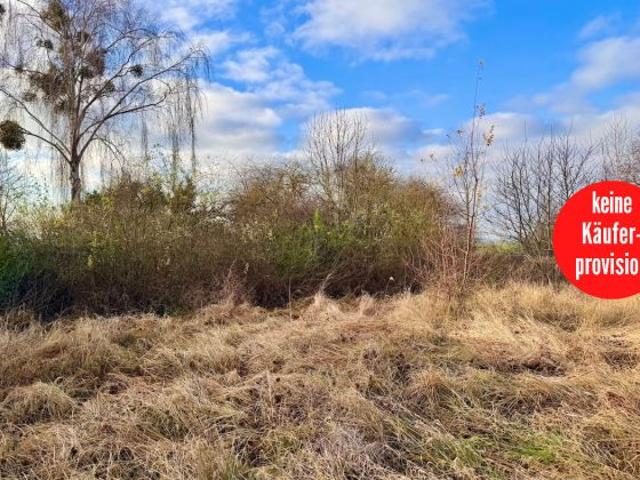 Erdgeschosswohnung kaufen in Penkun, Mecklenburg-Vorpommern