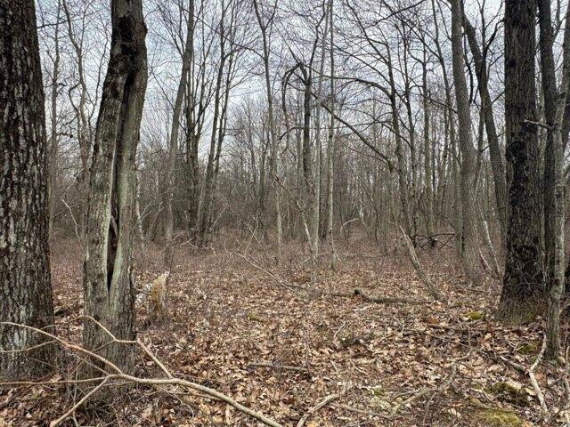 Land for sale in Long Pond