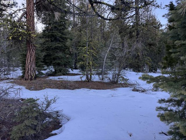 Land for sale in Oregonia