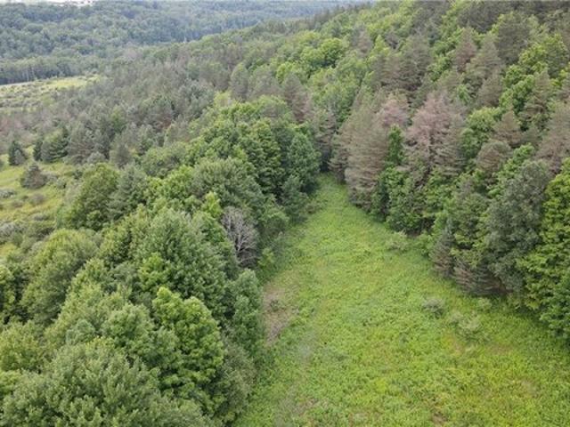 Land for sale in Hornell, New York