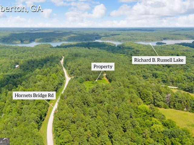 Land for sale in Elbert, Georgia