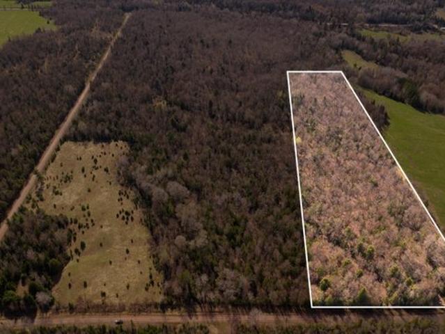 Land for sale in Michigan