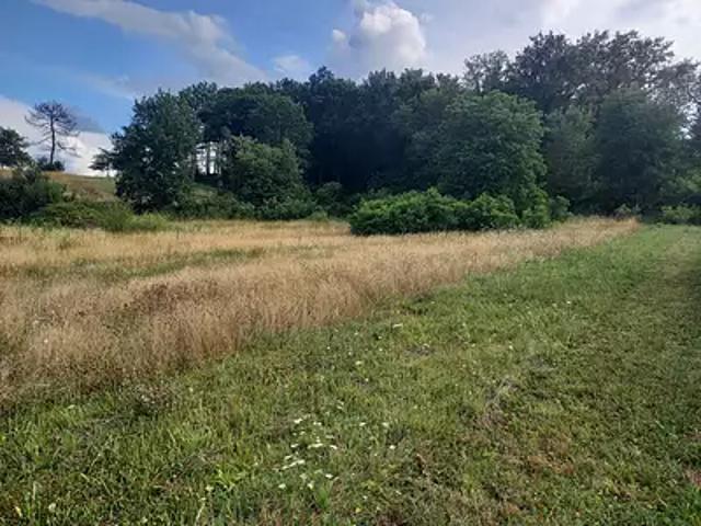 Terrain vente à Horsarrieu, Landes