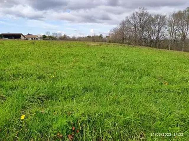 Terrain vente à Horsarrieu, Landes