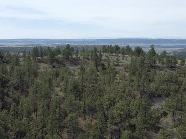 Land for sale in Columbus, Montana