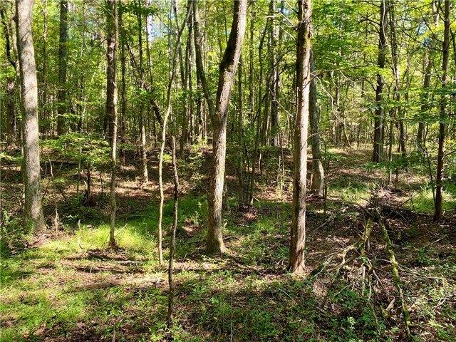 Farm for sale in Iva, South Carolina