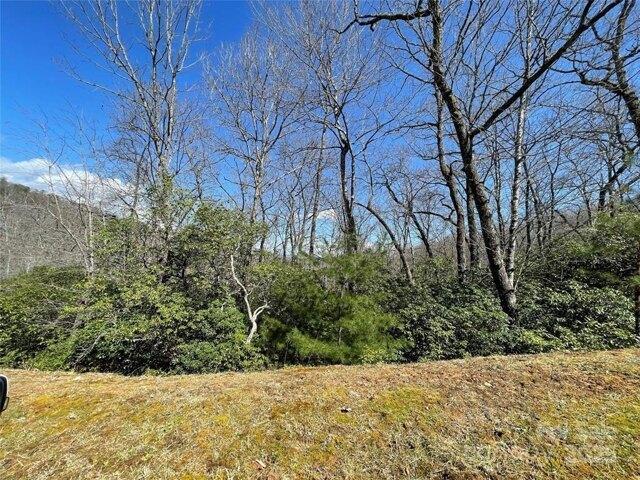 Land for sale in Horse Shoe, North Carolina