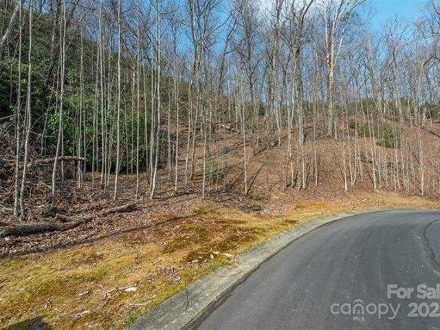 Land for sale in Horse Shoe, North Carolina