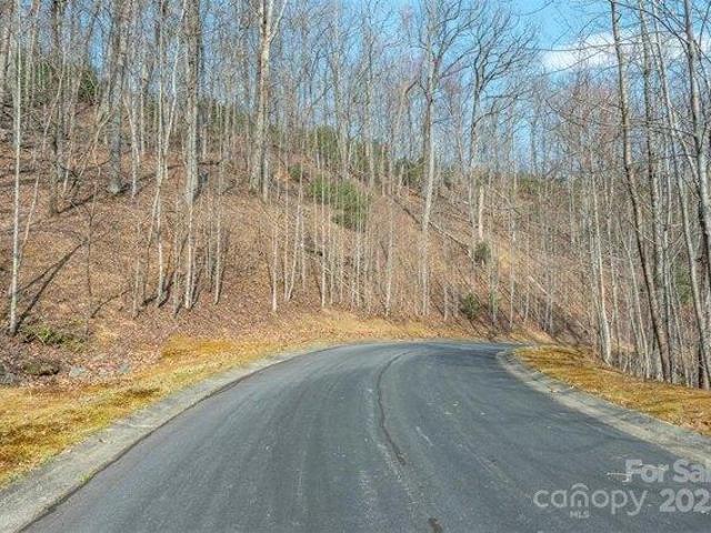 Land for sale in Horse Shoe, North Carolina