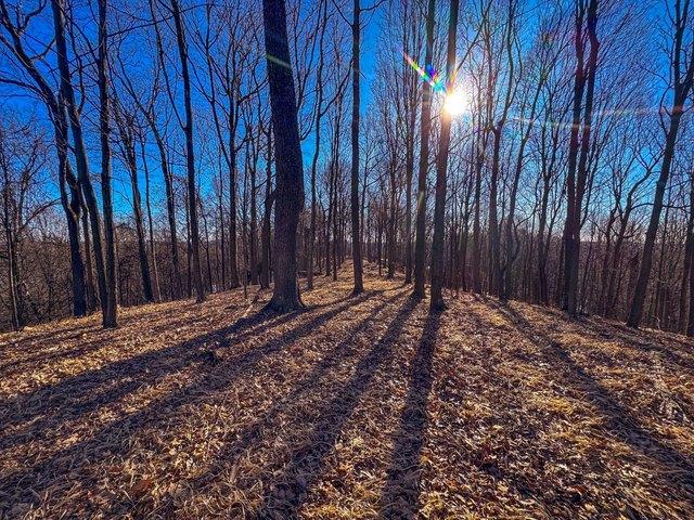 Land for sale in West Virginia