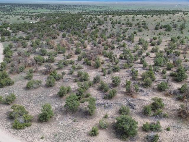 Land for sale in Quemado, Catron County